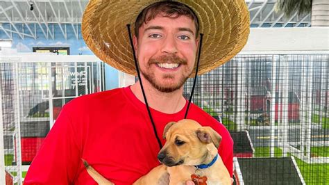 Mr Beast (@MrBeast) .